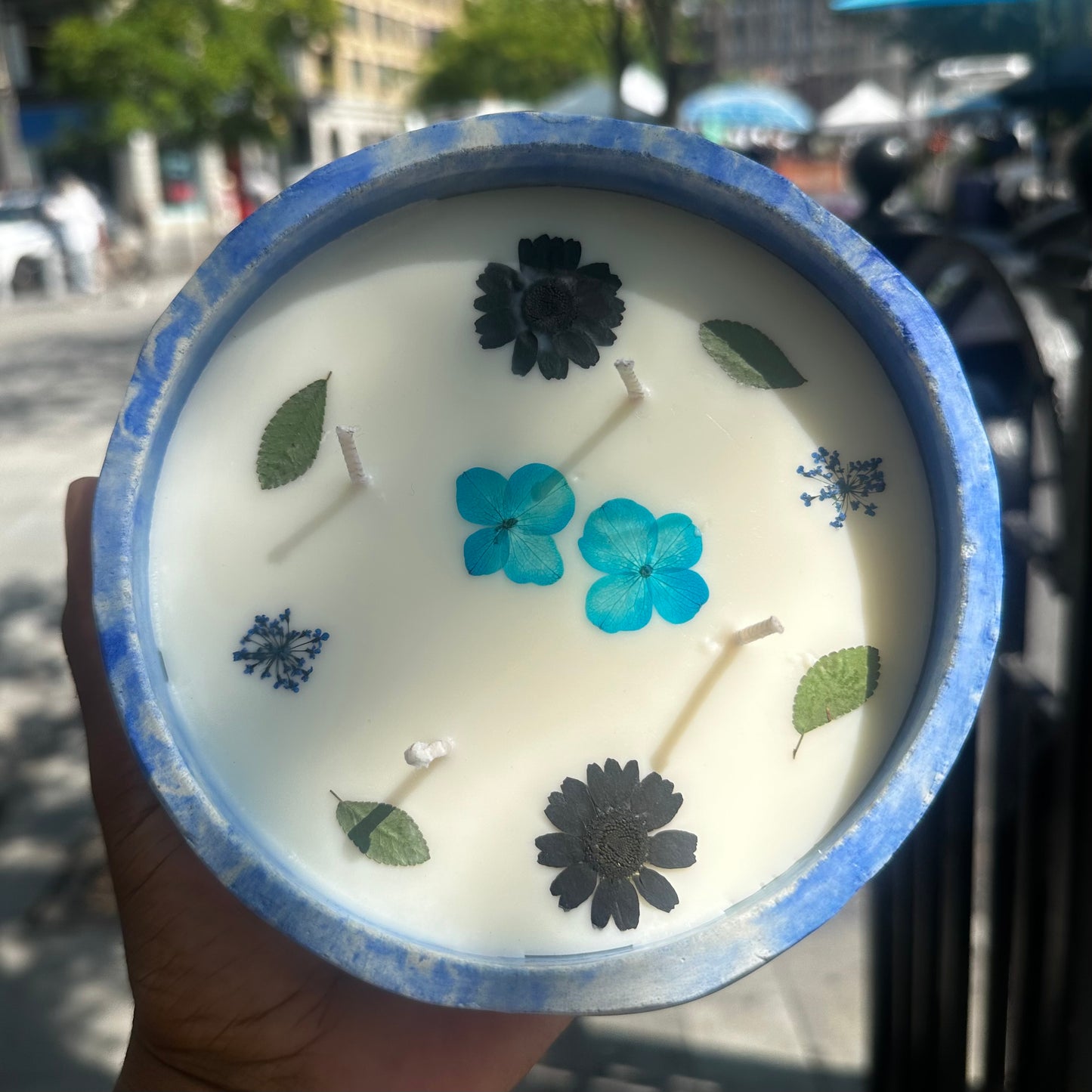Holding a Blue and White Marble Concrete Container 12 Ounce Candle with Dried Pressed Blue Hydrangea and Dill, Black Daisies, and Green Leaves in Union Square Park, New York City.