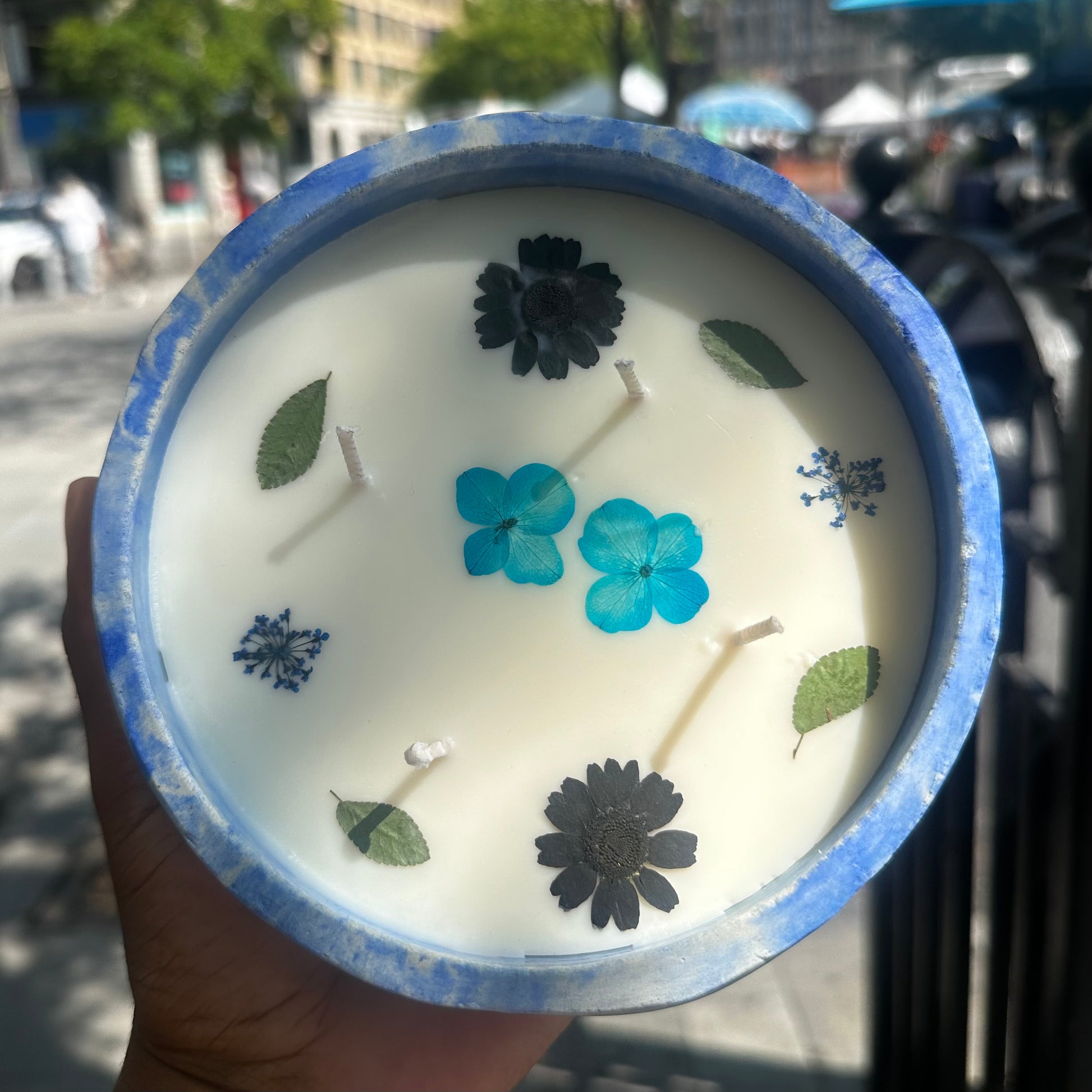 Holding a Blue and White Marble Concrete Container 12 Ounce Candle with Dried Pressed Blue Hydrangea and Dill, Black Daisies, and Green Leaves in Union Square Park, New York City.