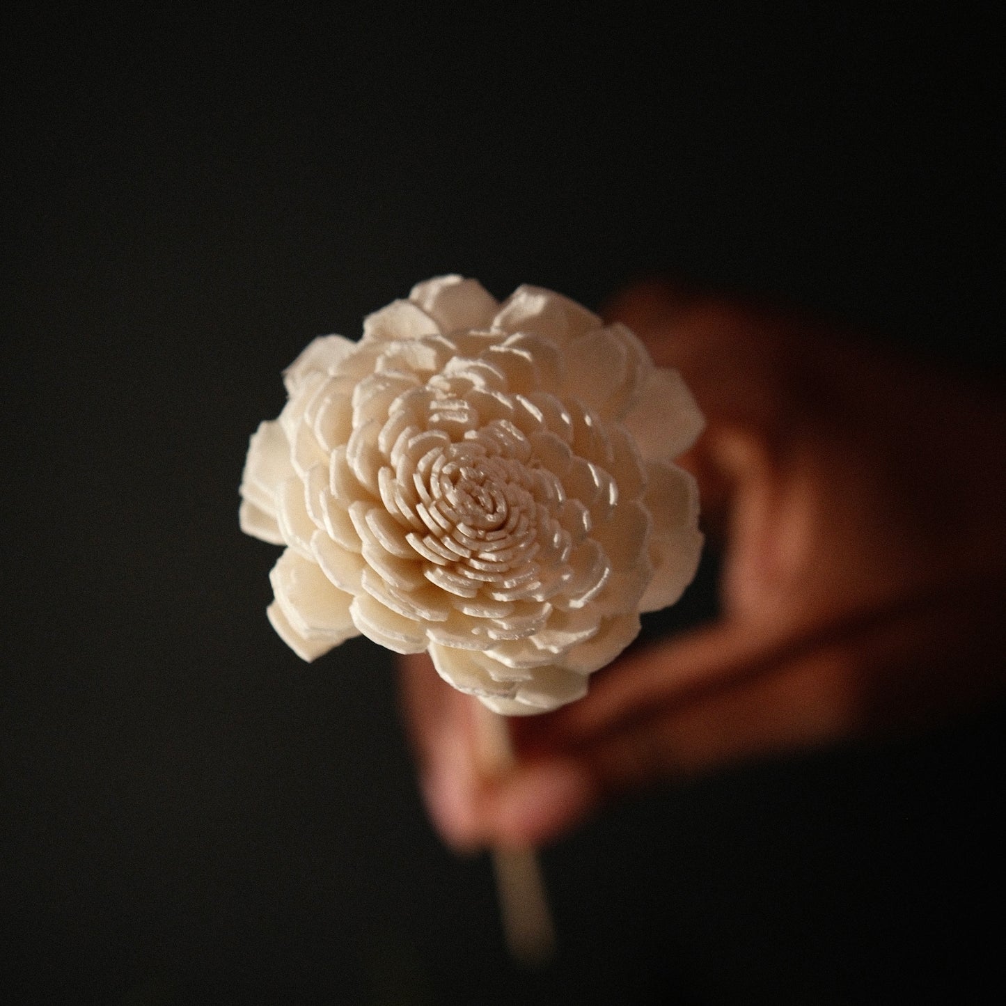 Custom Reed Diffuser – Choose Your Scent & Decorative Reeds
