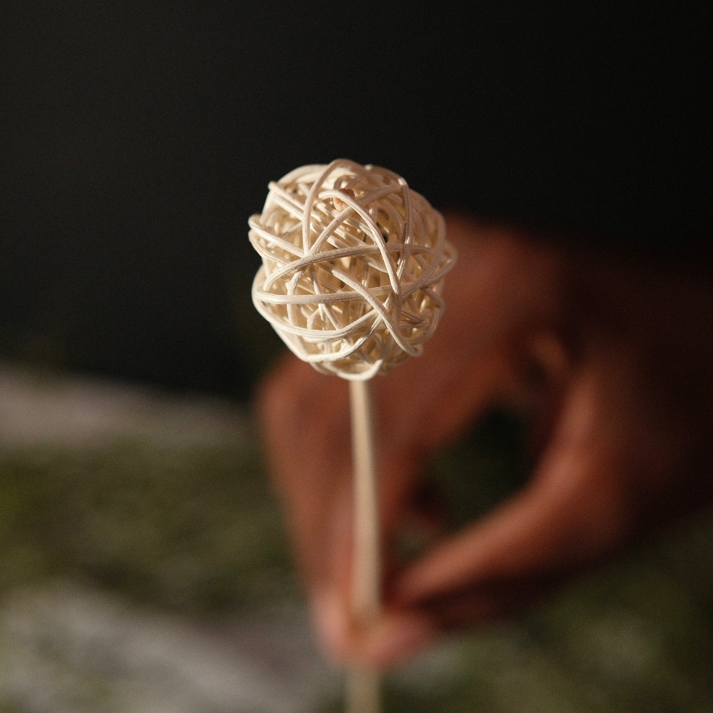 Custom Reed Diffuser – Choose Your Scent & Decorative Reeds